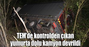TEM’de kontrolden çıkan yumurta dolu kamyon devrildi