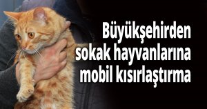 Büyükşehirden sokak hayvanlarına mobil kısırlaştırma