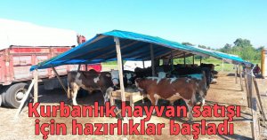  Kurbanlık hayvan satışı için hazırlıklar başladı