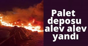 Palet deposu alev alev yandı