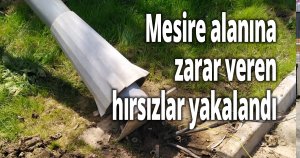 Mesire alanına zarar veren hırsızlar yakalandı