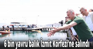 6 bin yavru balık İzmit Körfezi’ne salındı