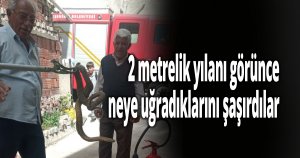 2 metrelik yılanı görünce neye uğradıklarını şaşırdılar