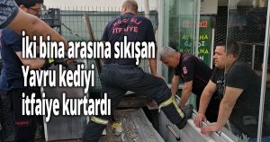 İki bina arasında mahsur kalan kediye itfaiye kurtardı