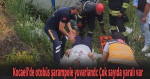 Kocaeli'de otobüs şarampole yuvarlandı