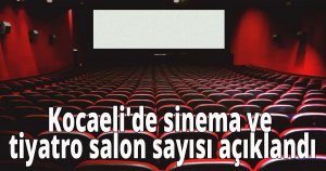 Kocaeli'de sinema ve tiyatro salon sayısı açıklandı