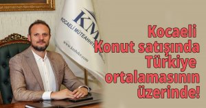 Kocaeli Konut satışında türkiye ortalamasının üzerinde!