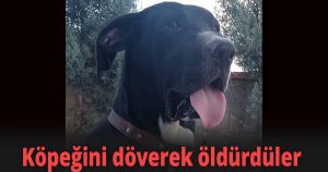 Köpeğini döverek öldürdüler