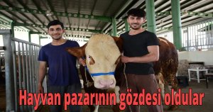  Hayvan pazarının gözdesi oldular