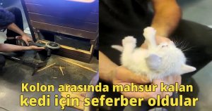 Kolon arasında mahsur kalan kedi için seferber oldular