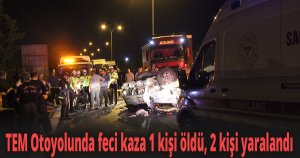 TEM Otoyolunda feci kaza 1 kişi öldü, 2 kişi yaralandı