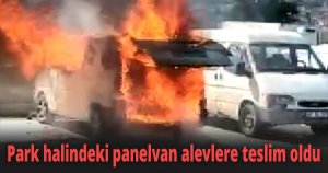 Park halindeki panelvan alevlere teslim oldu
