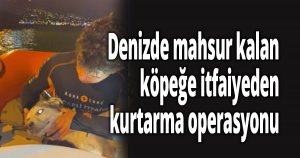 Denizde mahsur kalan köpeğe itfaiyeden kurtarma operasyonu