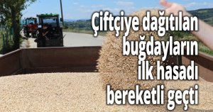 Çiftçiye dağıtılan buğdayların ilk hasadı bereketli geçti