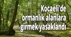 Kocaeli'de 31 Ağustos’a kadar ormanlık alanlara girmek yasaklandı