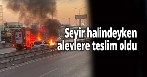 Seyir halindeyken alevlere teslim oldu