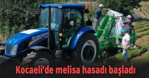 Kocaeli’de melisa hasadı başladı