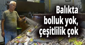 Balıkta bolluk yok, çeşitlilik çok