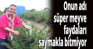 Onun adı süper meyve, faydaları saymakla bitmiyor