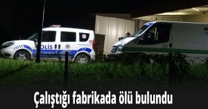 Çalıştığı fabrikada ölü bulundu