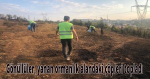  Gönüllüler, yanan ormanlık alandaki çöpleri topladı