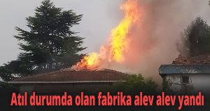 Atıl durumda olan fabrika alev alev yandı
