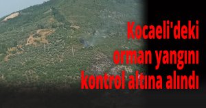 Kocaeli'deki orman yangını kontrol altına alındı