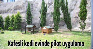 Kafesli kedi evinde pilot uygulama