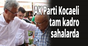 AK Parti Kocaeli tam kadro sahalarda