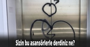 Sizin bu asansörlerle derdiniz ne?
