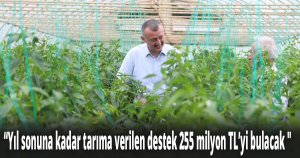 ''Yıl sonuna kadar tarıma verilen destek 255 milyon TL’yi bulacak''
