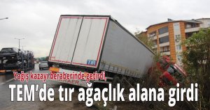 TEM’de tır ağaçlık alana girdi: 1 yaralı