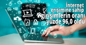 İnternet erişimine sahip girişimlerin oranı yüzde 96,0 oldu