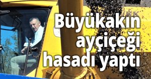 Başkan Büyükakın ayçiçeği hasadı yaptı
