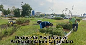 Derince’de Yeşil Alan ve Parklarda Bakım Çalışmaları