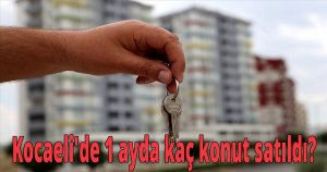 Kocaeli'de 1 ayda kaç konut satıldı?