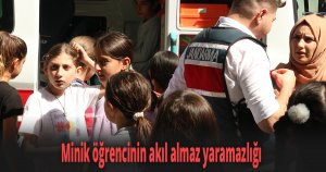 Minik öğrencinin akıl almaz yaramazlığı