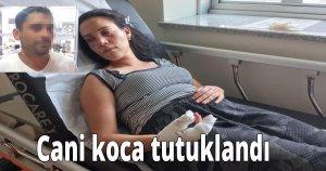 Cani koca tutuklandı