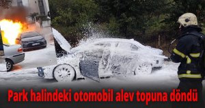 Park halindeki otomobil alev topuna döndü