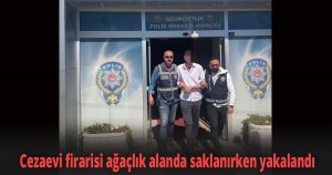 Cezaevi firarisi ağaçlık alanda saklanırken yakalandı