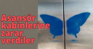 Asansör kabinlerine zarar verdiler
