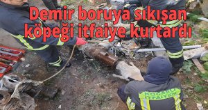  Demir boruya sıkışan köpeği itfaiye kurtardı