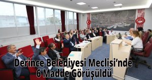 Derince Belediyesi Meclisi’nde 6 Madde Görüşüldü