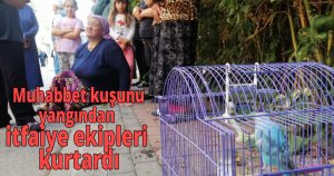  Muhabbet kuşunu yangından itfaiye ekipleri kurtardı