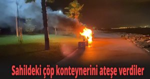 Sahildeki çöp konteynerini ateşe verdiler