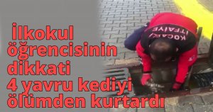  İlkokul öğrencisinin dikkati 4 yavru kediyi ölümden kurtardı