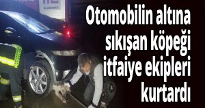 Otomobilin altına sıkışan köpeği itfaiye ekipleri kurtardı