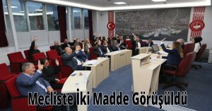 Mecliste İki Madde Görüşüldü