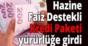 Hazine Faiz Destekli Kredi Paketi yürürlüğe girdi