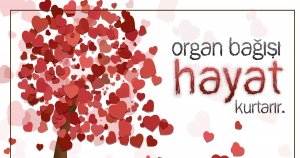 PEHLEVAN ORGAN BAĞIŞINA DAVET ETTİ